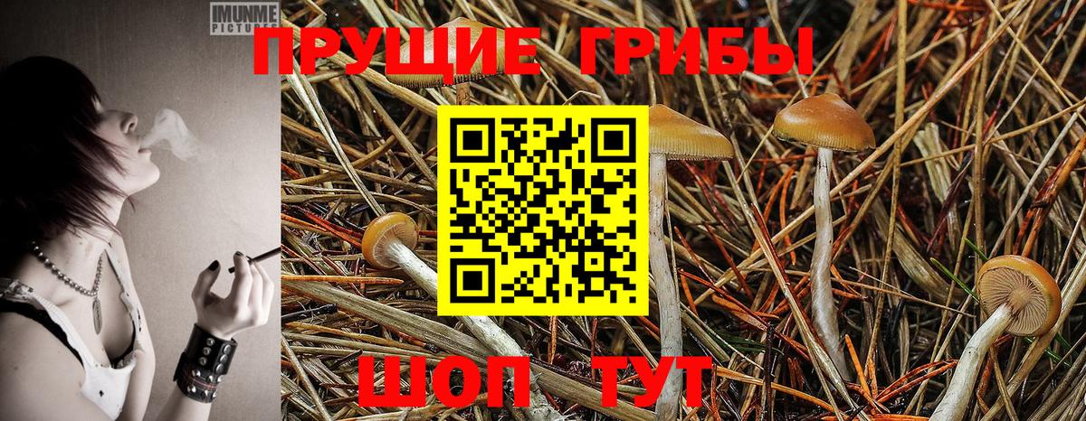 Ростов-на-Дону  Псилоцибиновые грибы MAGIC MUSHROOMS  Вход с VPN 