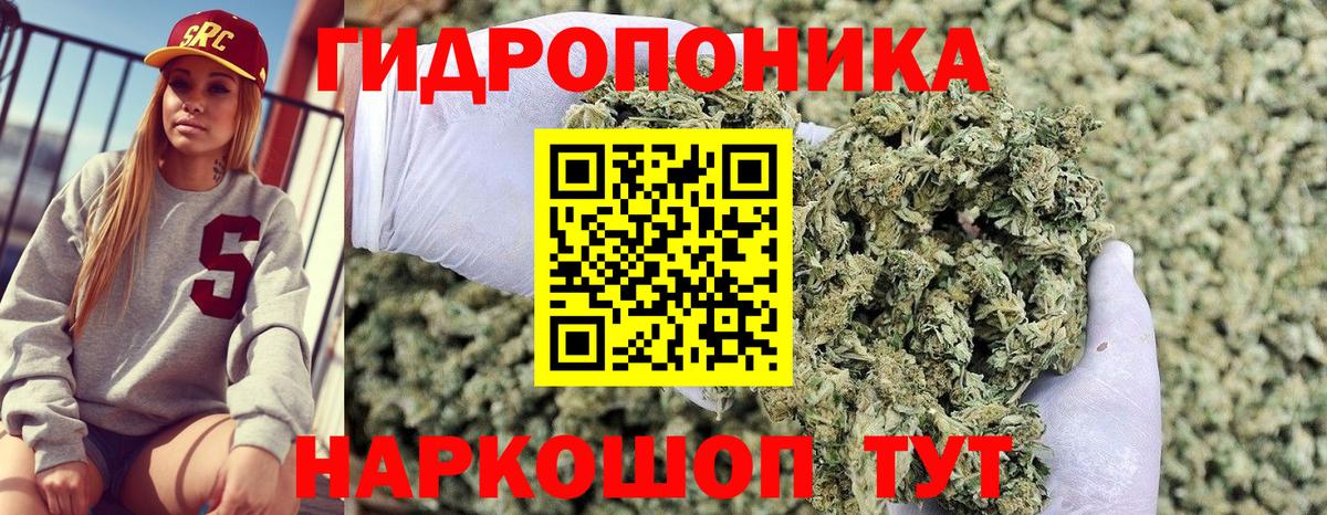 Марихуана марихуана Ростов-на-Дону